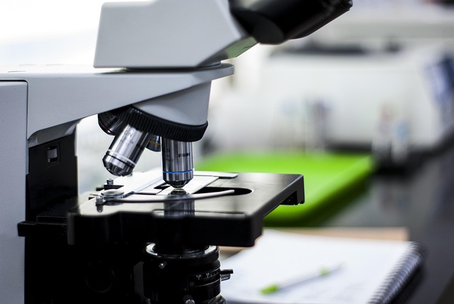 dmcha n,n-二甲基環(huán)己胺在制備聚氨酯膠黏劑和涂料中的應(yīng)用